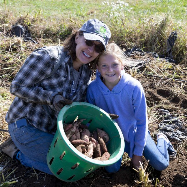 Ms. Scott-Hiser helps a student harvest sweet potatoes at Powissett Farm.